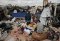 Shelter Setup Service