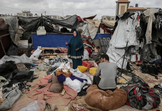 Shelter Setup Service